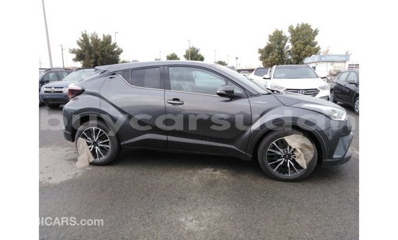 Buy Import Toyota C-HR Other Car in Import - Dubai in Al Jazirah State Buy Import Toyota C-HR Other Car in Import - Dubai in Al Jazirah State