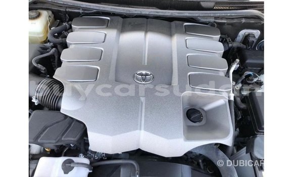 Buy Import Toyota Land Cruiser White Car in Import - Dubai in Al Jazirah State Buy Import Toyota Land Cruiser White Car in Import - Dubai in Al Jazirah State