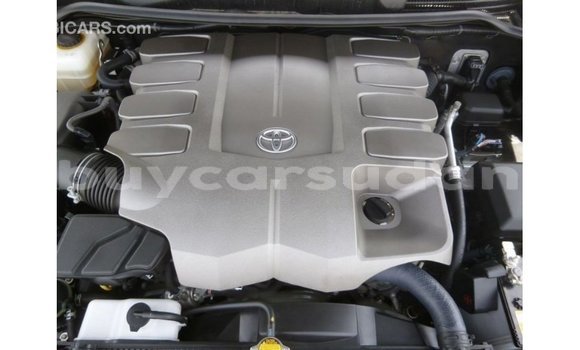 Buy Import Toyota Land Cruiser Black Car in Import - Dubai in Al Jazirah State Buy Import Toyota Land Cruiser Black Car in Import - Dubai in Al Jazirah State