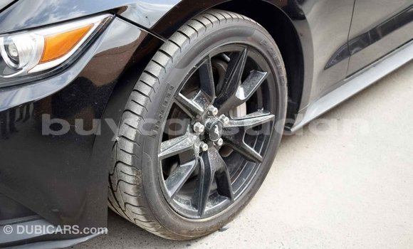 Buy Import Ford Mustang Black Car in Import - Dubai in Al Jazirah State Buy Import Ford Mustang Black Car in Import - Dubai in Al Jazirah State