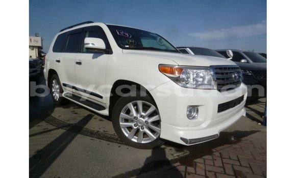 Buy Import Toyota Land Cruiser White Car in Import - Dubai in Al Jazirah State Buy Import Toyota Land Cruiser White Car in Import - Dubai in Al Jazirah State