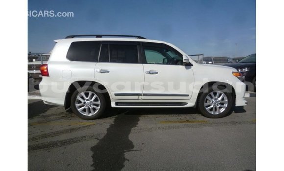 Buy Import Toyota Land Cruiser White Car in Import - Dubai in Al Jazirah State Buy Import Toyota Land Cruiser White Car in Import - Dubai in Al Jazirah State