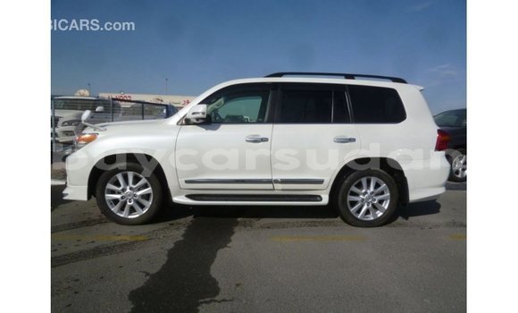 Buy Import Toyota Land Cruiser White Car in Import - Dubai in Al Jazirah State Buy Import Toyota Land Cruiser White Car in Import - Dubai in Al Jazirah State
