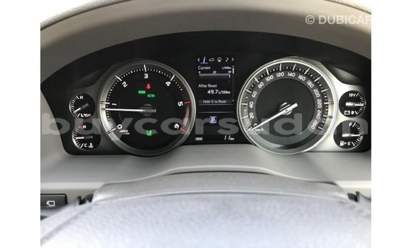 Buy Import Toyota Land Cruiser Black Car in Import - Dubai in Al Jazirah State Buy Import Toyota Land Cruiser Black Car in Import - Dubai in Al Jazirah State