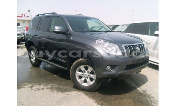 Buy Import Toyota Prado Other Car in Import - Dubai in Al Jazirah State Buy Import Toyota Prado Other Car in Import - Dubai in Al Jazirah State