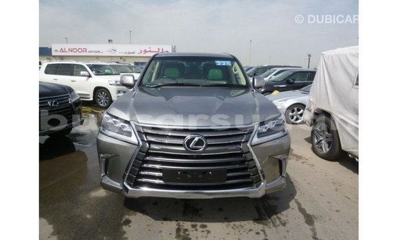 Buy Import Lexus LX Other Car in Import - Dubai in Al Jazirah State Buy Import Lexus LX Other Car in Import - Dubai in Al Jazirah State