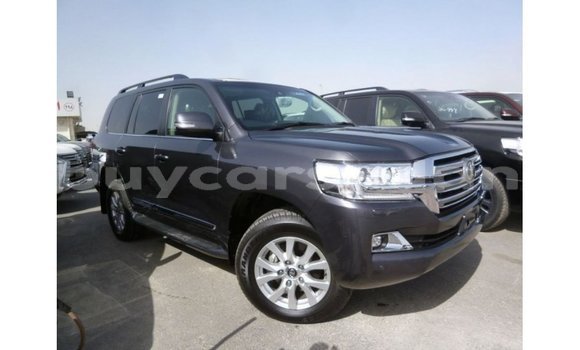 Buy Import Toyota Land Cruiser Other Car in Import - Dubai in Al Jazirah State Buy Import Toyota Land Cruiser Other Car in Import - Dubai in Al Jazirah State
