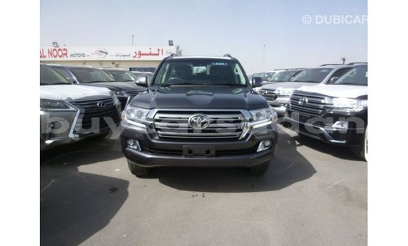 Buy Import Toyota Land Cruiser Other Car in Import - Dubai in Al Jazirah State Buy Import Toyota Land Cruiser Other Car in Import - Dubai in Al Jazirah State
