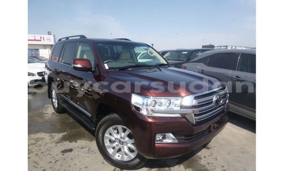 Buy Import Toyota Land Cruiser Brown Car in Import - Dubai in Al Jazirah State Buy Import Toyota Land Cruiser Brown Car in Import - Dubai in Al Jazirah State