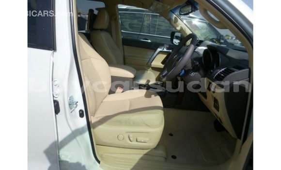 Buy Import Toyota Prado White Car in Import - Dubai in Al Jazirah State Buy Import Toyota Prado White Car in Import - Dubai in Al Jazirah State
