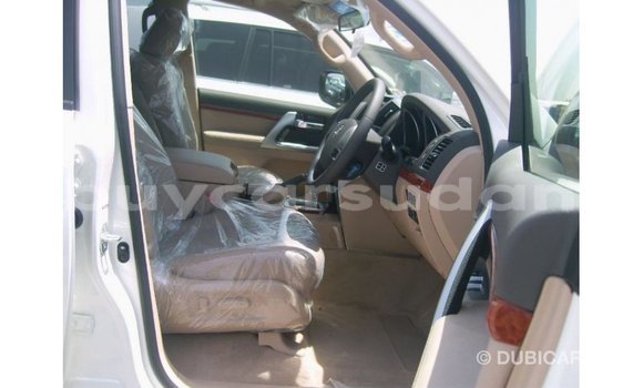 Buy Import Toyota Land Cruiser White Car in Import - Dubai in Al Jazirah State Buy Import Toyota Land Cruiser White Car in Import - Dubai in Al Jazirah State