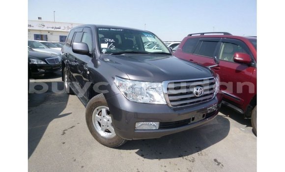 Buy Import Toyota Land Cruiser Other Car in Import - Dubai in Al Jazirah State Buy Import Toyota Land Cruiser Other Car in Import - Dubai in Al Jazirah State