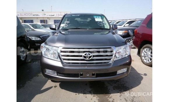 Buy Import Toyota Land Cruiser Other Car in Import - Dubai in Al Jazirah State Buy Import Toyota Land Cruiser Other Car in Import - Dubai in Al Jazirah State