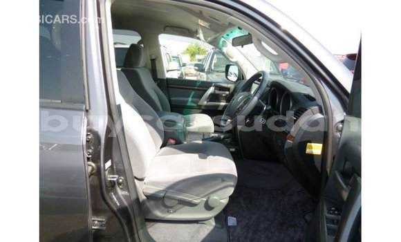 Buy Import Toyota Land Cruiser Other Car in Import - Dubai in Al Jazirah State Buy Import Toyota Land Cruiser Other Car in Import - Dubai in Al Jazirah State