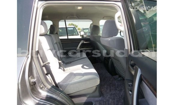 Buy Import Toyota Land Cruiser Other Car in Import - Dubai in Al Jazirah State Buy Import Toyota Land Cruiser Other Car in Import - Dubai in Al Jazirah State