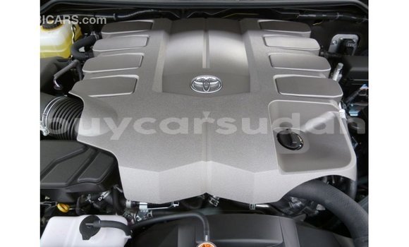 Buy Import Toyota Land Cruiser Black Car in Import - Dubai in Al Jazirah State Buy Import Toyota Land Cruiser Black Car in Import - Dubai in Al Jazirah State
