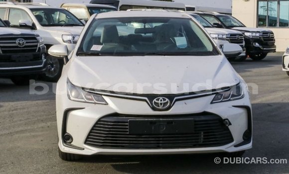 Buy Import Toyota Corolla White Car in Import - Dubai in Al Jazirah State Buy Import Toyota Corolla White Car in Import - Dubai in Al Jazirah State