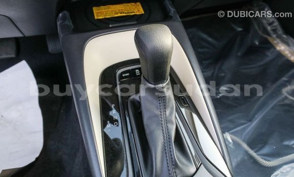 Buy Import Toyota Corolla White Car in Import - Dubai in Al Jazirah State Buy Import Toyota Corolla White Car in Import - Dubai in Al Jazirah State