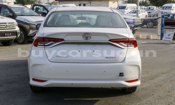 Buy Import Toyota Corolla White Car in Import - Dubai in Al Jazirah State Buy Import Toyota Corolla White Car in Import - Dubai in Al Jazirah State