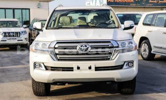 Buy Import Toyota Land Cruiser White Car in Import - Dubai in Al Jazirah State Buy Import Toyota Land Cruiser White Car in Import - Dubai in Al Jazirah State