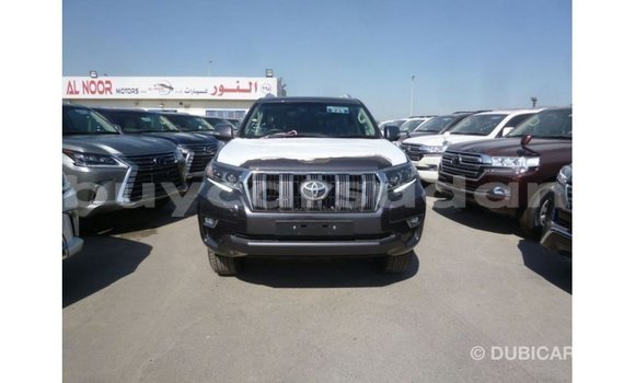 Buy Import Toyota Prado Other Car in Import - Dubai in Al Jazirah State Buy Import Toyota Prado Other Car in Import - Dubai in Al Jazirah State