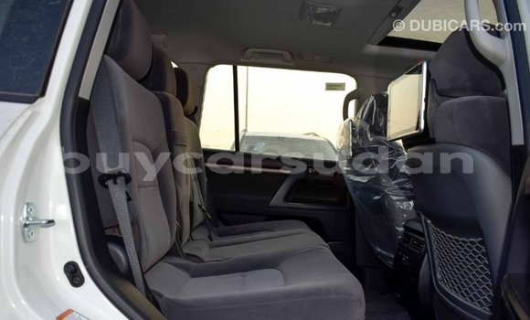 Buy Import Toyota Land Cruiser White Car in Import - Dubai in Al Jazirah State Buy Import Toyota Land Cruiser White Car in Import - Dubai in Al Jazirah State