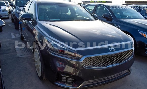 Buy Import Kia Cadenza Other Car in Import - Dubai in Al Jazirah State Buy Import Kia Cadenza Other Car in Import - Dubai in Al Jazirah State
