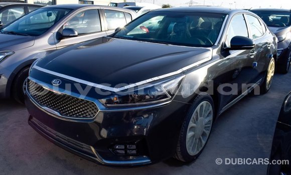 Buy Import Kia Cadenza Other Car in Import - Dubai in Al Jazirah State Buy Import Kia Cadenza Other Car in Import - Dubai in Al Jazirah State