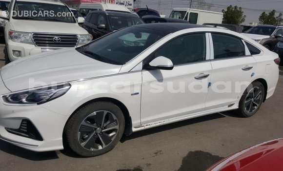 Buy Import Hyundai Sonata White Car in Import - Dubai in Al Jazirah State Buy Import Hyundai Sonata White Car in Import - Dubai in Al Jazirah State
