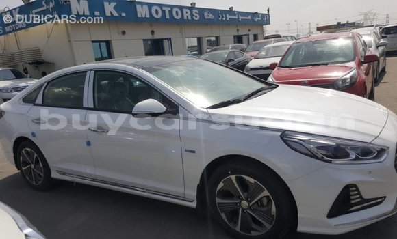 Buy Import Hyundai Sonata White Car in Import - Dubai in Al Jazirah State Buy Import Hyundai Sonata White Car in Import - Dubai in Al Jazirah State