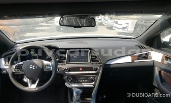 Buy Import Hyundai Sonata White Car in Import - Dubai in Al Jazirah State Buy Import Hyundai Sonata White Car in Import - Dubai in Al Jazirah State