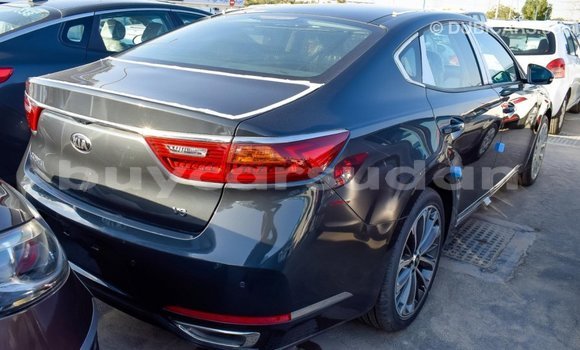 Buy Import Kia Cadenza Other Car in Import - Dubai in Al Jazirah State Buy Import Kia Cadenza Other Car in Import - Dubai in Al Jazirah State