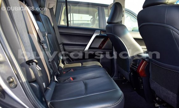 Buy Import Toyota Prado Other Car in Import - Dubai in Al Jazirah State Buy Import Toyota Prado Other Car in Import - Dubai in Al Jazirah State