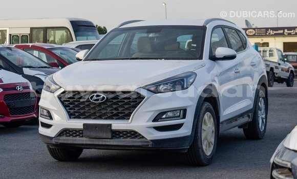 Buy Import Hyundai Tucson White Car in Import - Dubai in Al Jazirah State Buy Import Hyundai Tucson White Car in Import - Dubai in Al Jazirah State