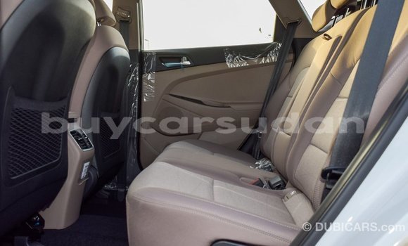 Buy Import Hyundai Tucson White Car in Import - Dubai in Al Jazirah State Buy Import Hyundai Tucson White Car in Import - Dubai in Al Jazirah State