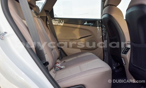 Buy Import Hyundai Tucson White Car in Import - Dubai in Al Jazirah State Buy Import Hyundai Tucson White Car in Import - Dubai in Al Jazirah State