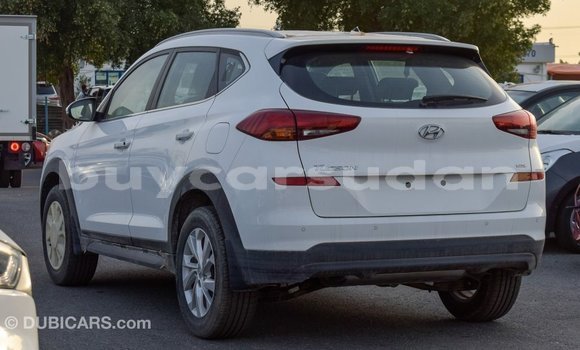 Buy Import Hyundai Tucson White Car in Import - Dubai in Al Jazirah State Buy Import Hyundai Tucson White Car in Import - Dubai in Al Jazirah State