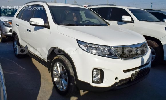 Buy Import Kia Sorento White Car in Import - Dubai in Al Jazirah State Buy Import Kia Sorento White Car in Import - Dubai in Al Jazirah State
