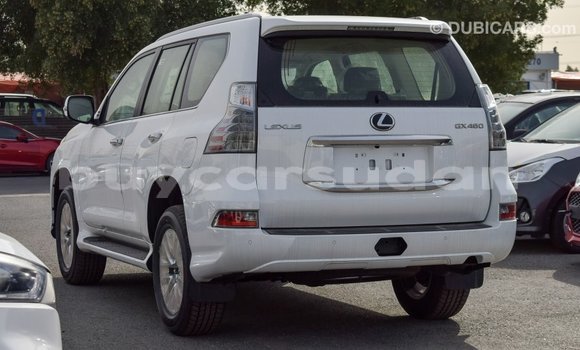 Buy Import Lexus GX White Car in Import - Dubai in Al Jazirah State Buy Import Lexus GX White Car in Import - Dubai in Al Jazirah State