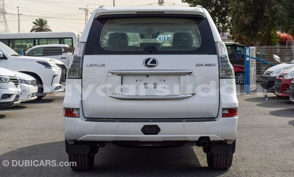 Buy Import Lexus GX White Car in Import - Dubai in Al Jazirah State Buy Import Lexus GX White Car in Import - Dubai in Al Jazirah State