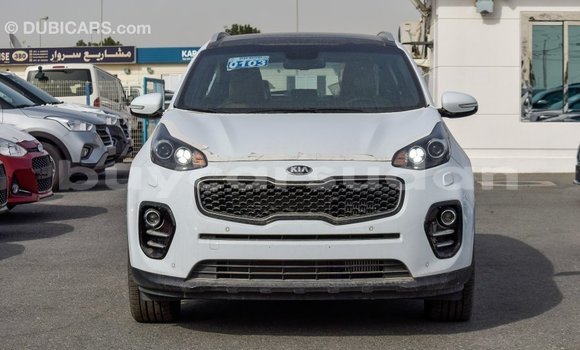 Buy Import Kia Sportage White Car in Import - Dubai in Al Jazirah State Buy Import Kia Sportage White Car in Import - Dubai in Al Jazirah State