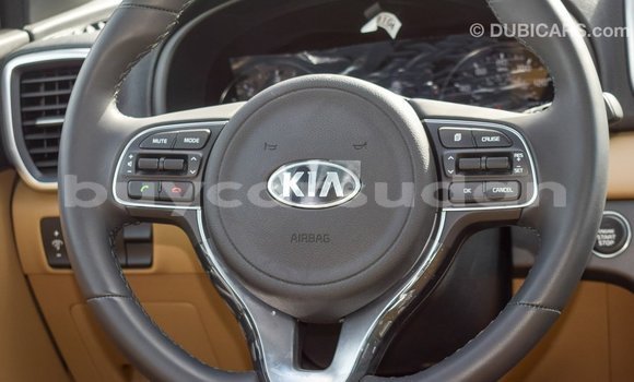 Buy Import Kia Sportage White Car in Import - Dubai in Al Jazirah State Buy Import Kia Sportage White Car in Import - Dubai in Al Jazirah State