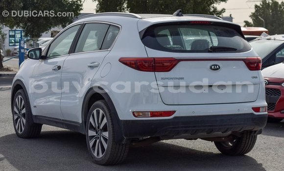 Buy Import Kia Sportage White Car in Import - Dubai in Al Jazirah State Buy Import Kia Sportage White Car in Import - Dubai in Al Jazirah State