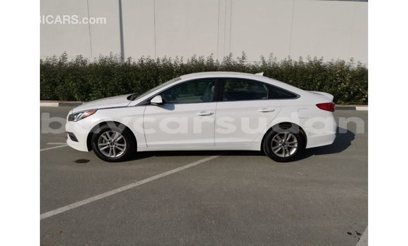 Buy Import Hyundai Sonata White Car in Import - Dubai in Al Jazirah State Buy Import Hyundai Sonata White Car in Import - Dubai in Al Jazirah State