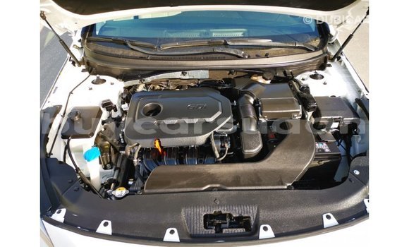Buy Import Hyundai Sonata White Car in Import - Dubai in Al Jazirah State Buy Import Hyundai Sonata White Car in Import - Dubai in Al Jazirah State