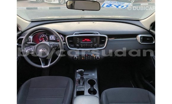 Buy Import Kia Sorento Other Car in Import - Dubai in Al Jazirah State Buy Import Kia Sorento Other Car in Import - Dubai in Al Jazirah State