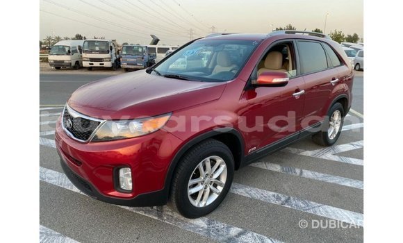Buy Import Kia Sorento Red Car in Import - Dubai in Al Jazirah State Buy Import Kia Sorento Red Car in Import - Dubai in Al Jazirah State