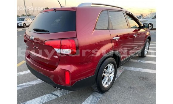 Buy Import Kia Sorento Red Car in Import - Dubai in Al Jazirah State Buy Import Kia Sorento Red Car in Import - Dubai in Al Jazirah State