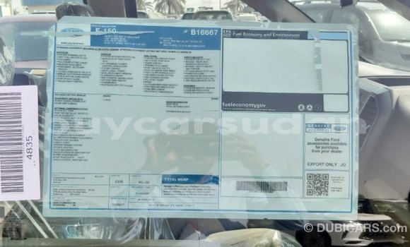 Buy Import Ford Club Wagon Red Car in Import - Dubai in Al Jazirah State Buy Import Ford Club Wagon Red Car in Import - Dubai in Al Jazirah State