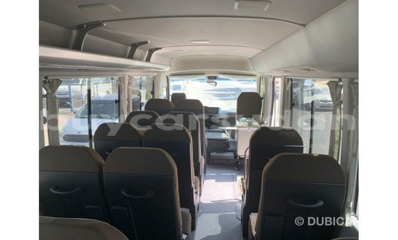 Buy Import Toyota Coaster White Car in Import - Dubai in Al Jazirah State Buy Import Toyota Coaster White Car in Import - Dubai in Al Jazirah State